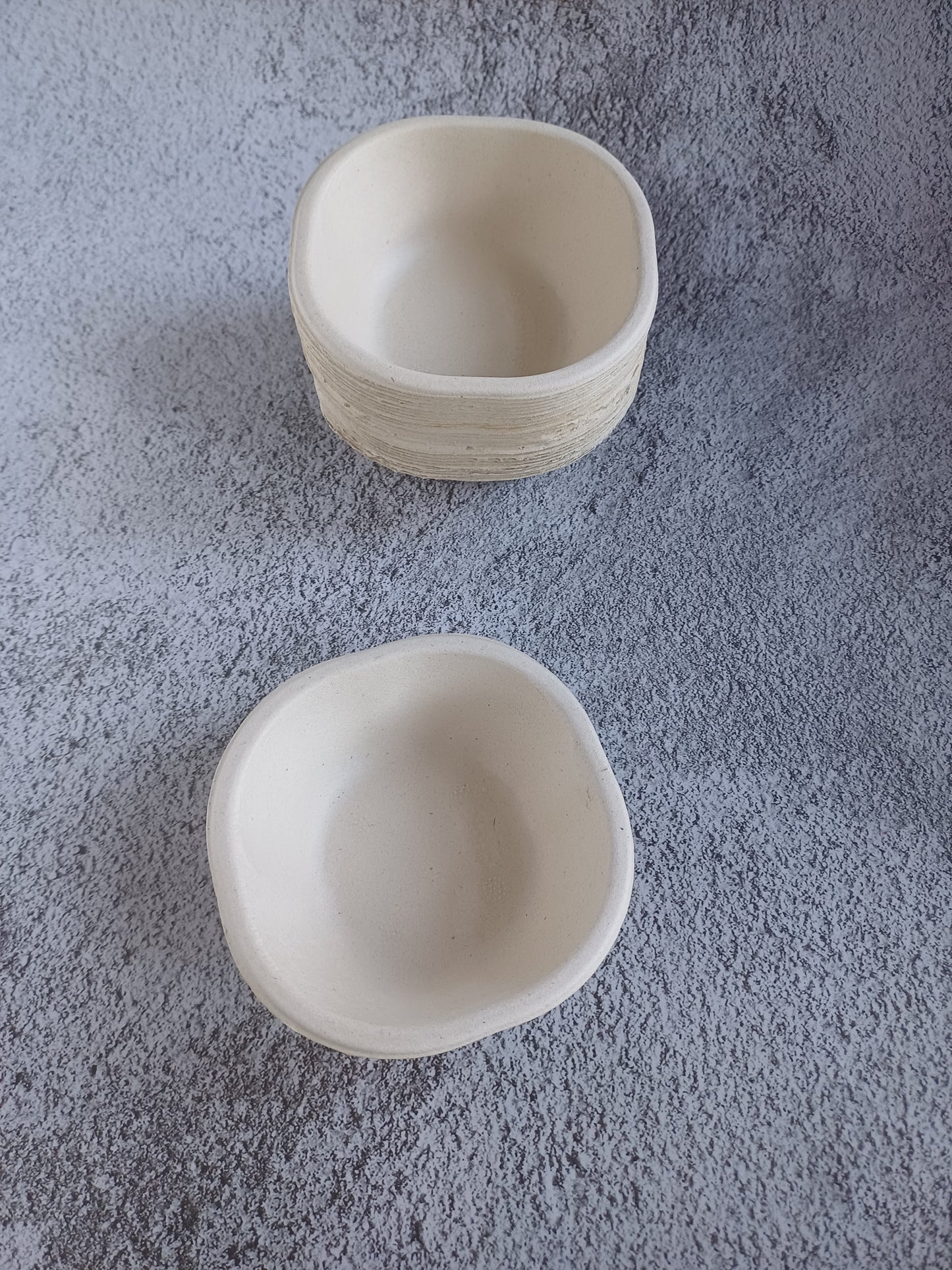Sugarcane Bagasse Bowls (Pack of 25)