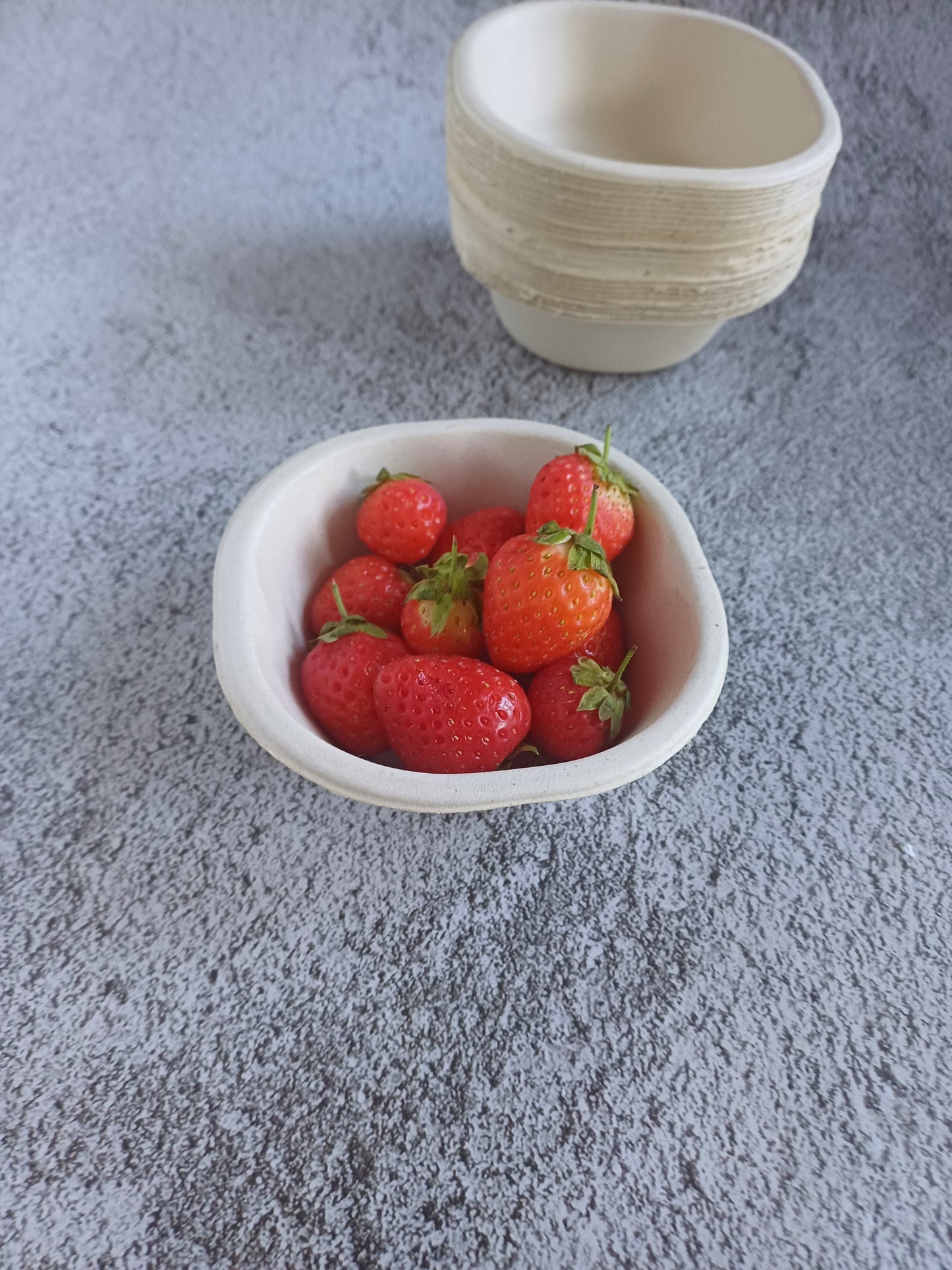 Sugarcane Bagasse Bowls (Pack of 25)