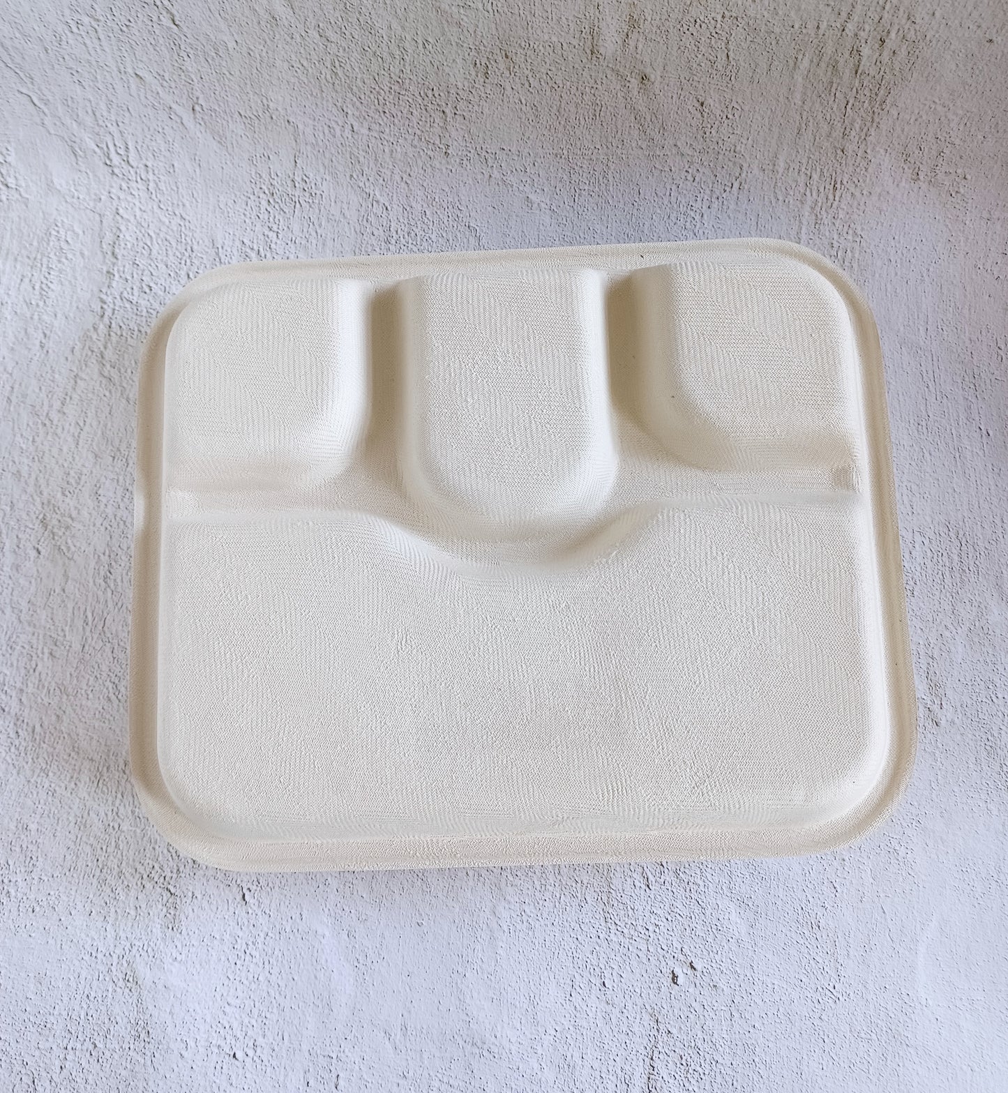 Sugarcane Bagesse 4 Compartment Square Plates (Pack of 25)