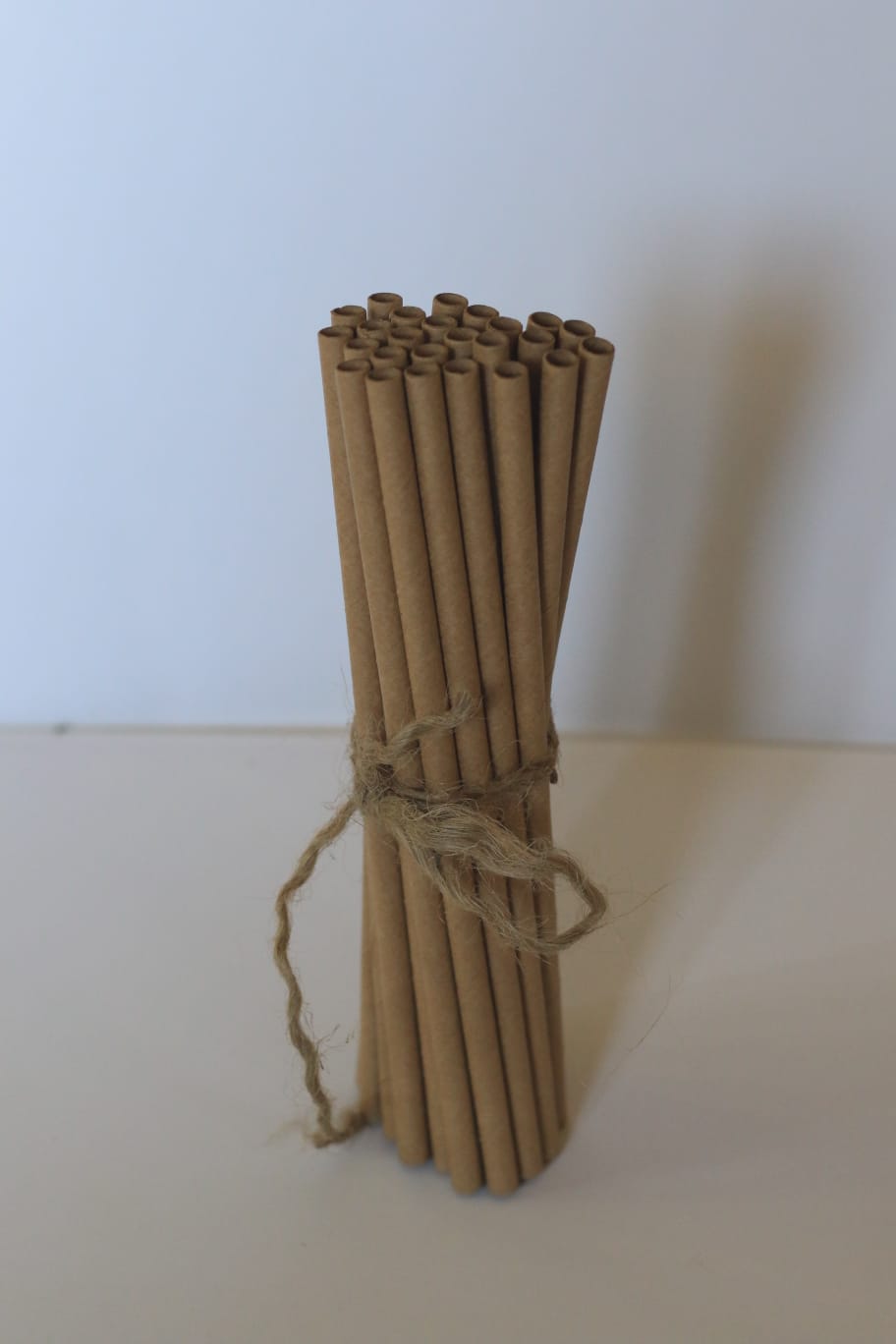 Coconut Leaf Disposable Straws (Pack of 100)