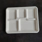 Sugarcane Bagasse 5 Compartment Square Plates (Pack of 50)