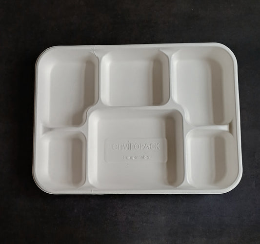 Sugarcane Bagasse 6 Compartment Square Plates (Pack of 50)